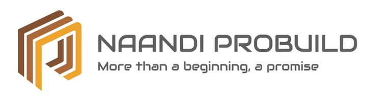 NAANDI PROBUILD logo
