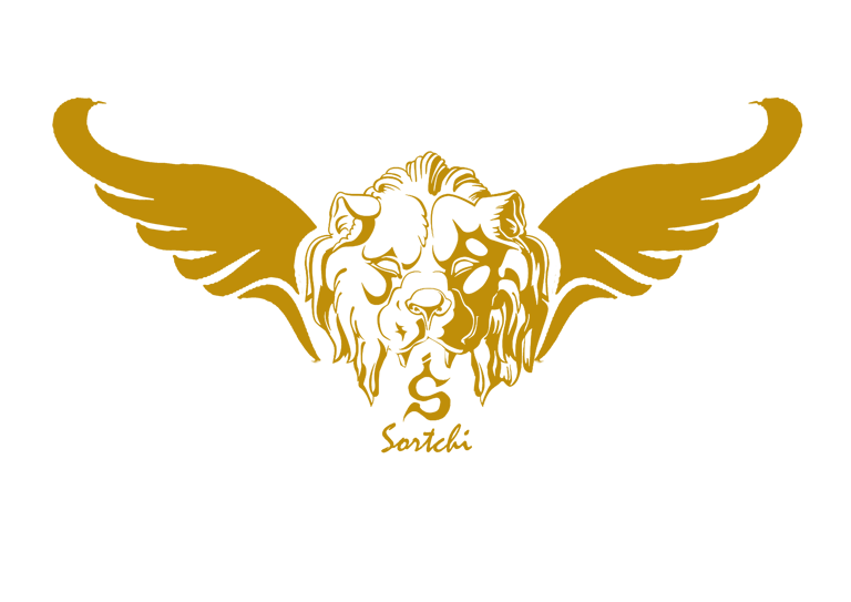 Sortchi design logo