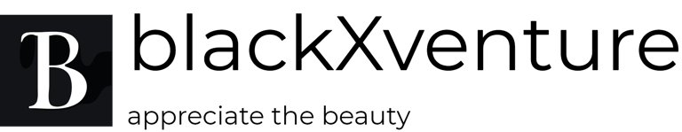 blackXventure logo
