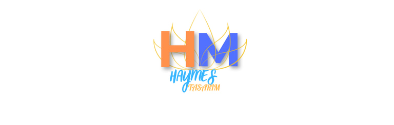 HayMEs Tasarım logo
