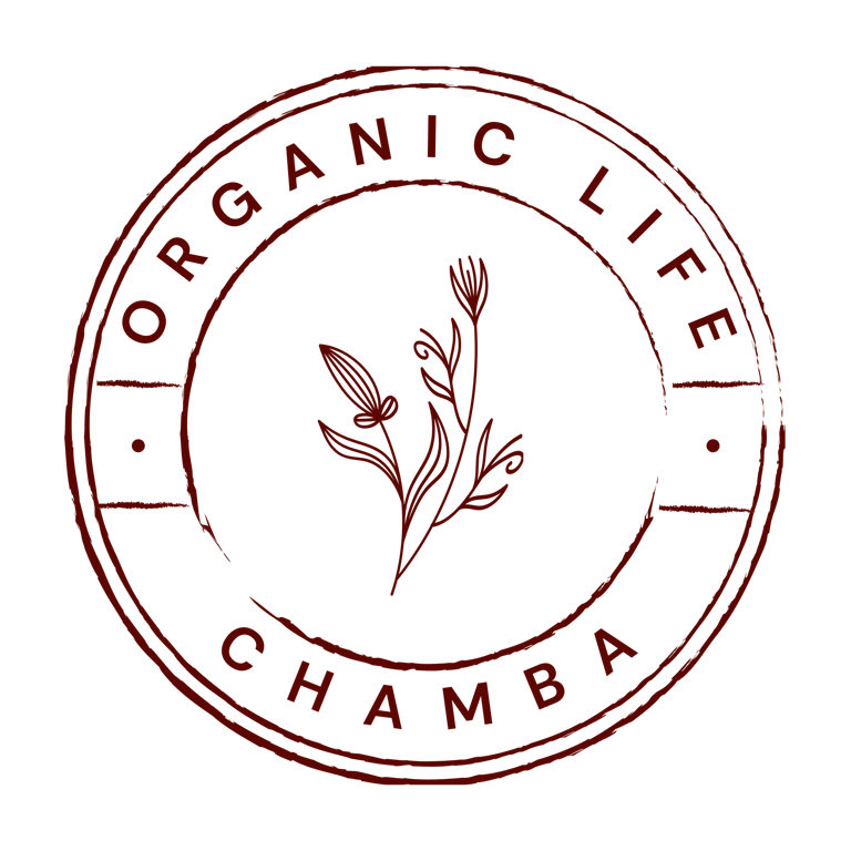 Organic Village Life logo