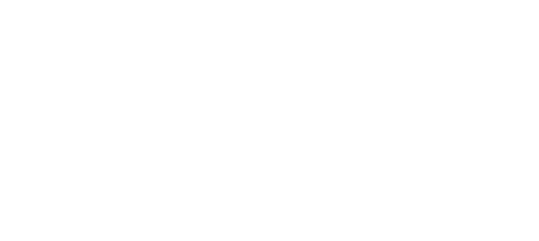 Cardoso de Almeida logo