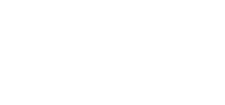 TROPICALIDAYS  logo