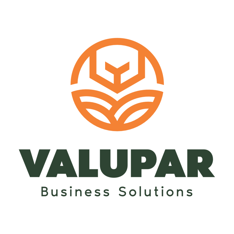 Valupar Solutions logo
