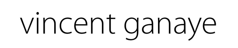 vincent ganaye - peintre et photographe logo