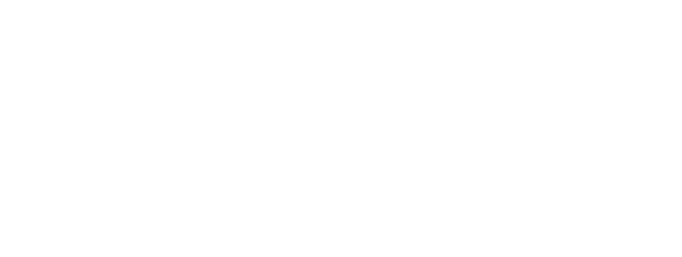 Sureste Seguro logo