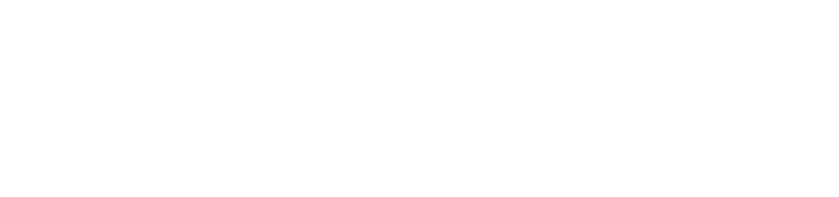VillagGino logo