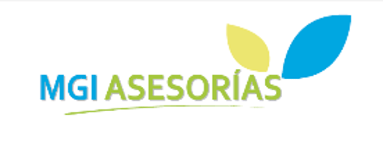MGI Asesorias logo