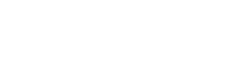 Unique by SCHAIX logo