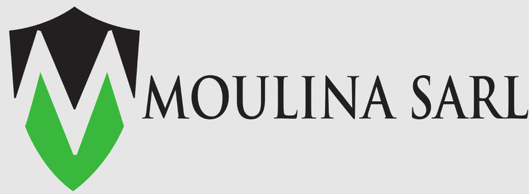 MOULINA logo