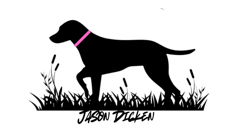 jasondickenrealty.com logo