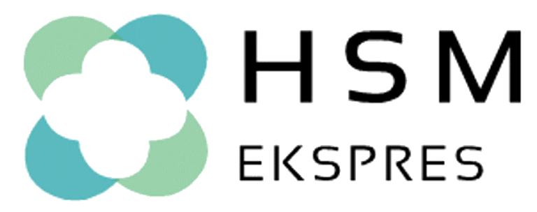 HSM EKSPRES TAŞIMACILIK logo