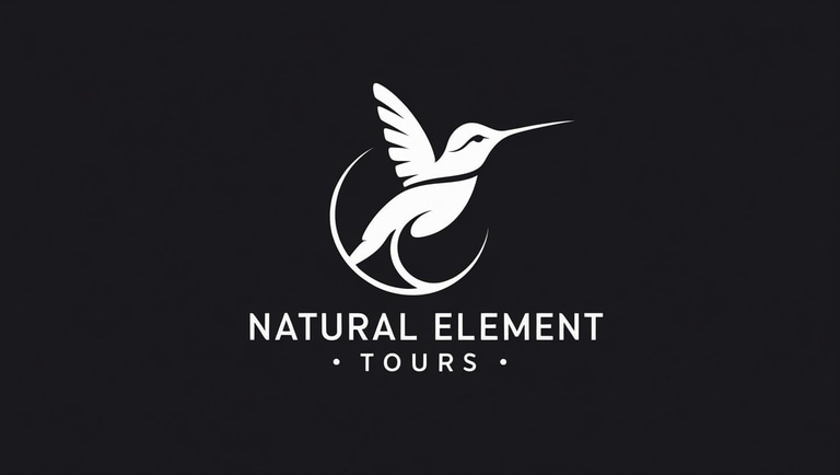 Natural Element Tours logo