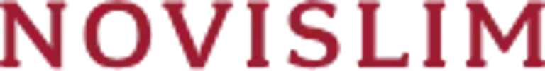 Lean X logo