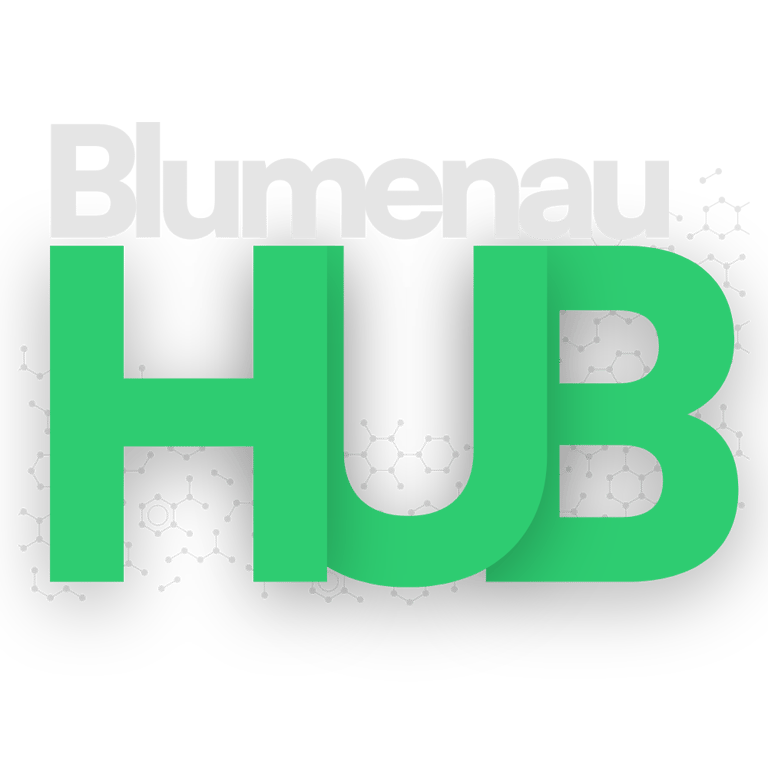 Blumenau Hub logo