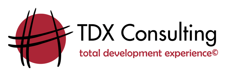 TDX Consulting logo
