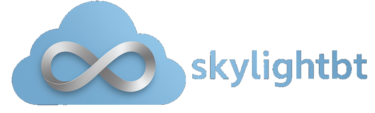 Skylight BT - Bilgi Teknolojileri Danışmanlığı logo