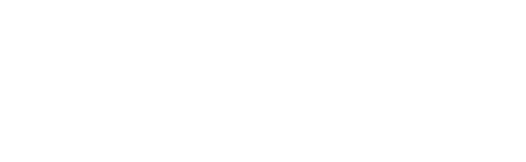 Top Tier Fleet logo
