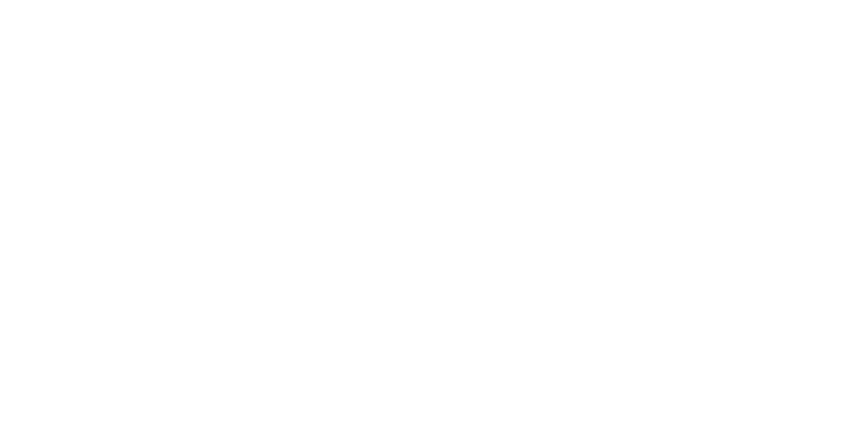 DIVISÃO DO BRASIL logo