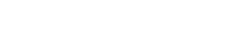 Fabio Lagani logo
