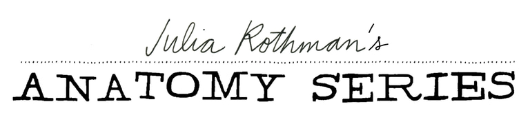 Julia Rothman's Anatomy Series logo