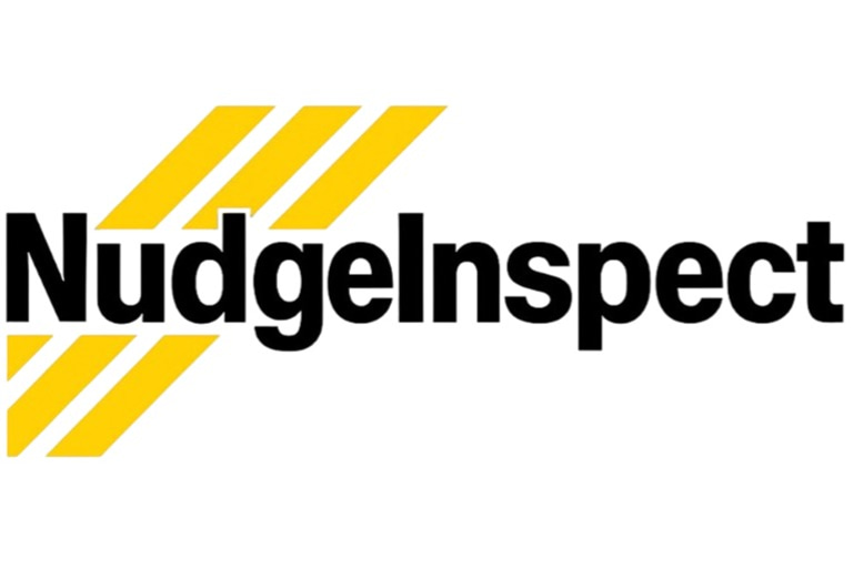 NudgeInpsect logo