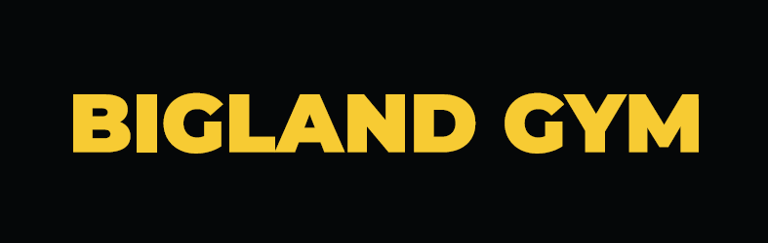 BigLandGym logo