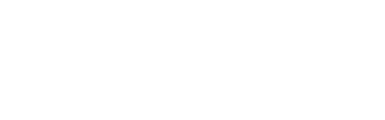 אודיה הובלות logo