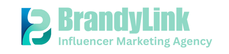 Brandylink logo