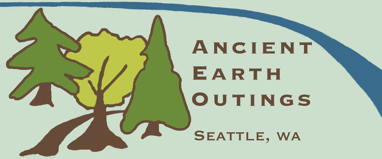 Four Seasons Forest Therapy logo