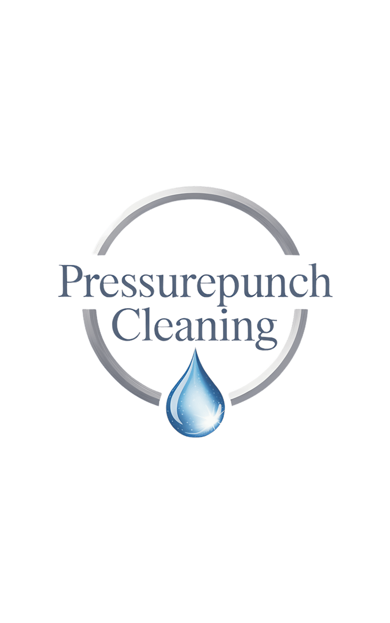 Pressurepunchcleaning logo