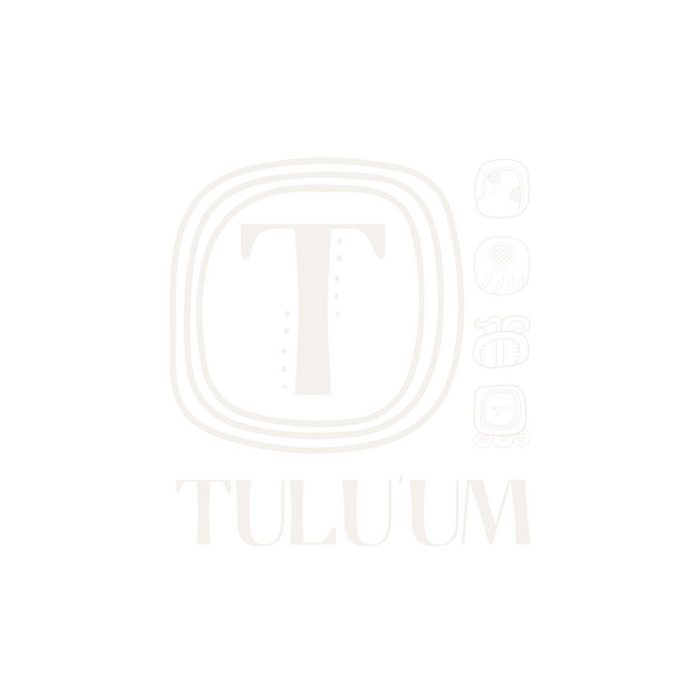 Tuluum logo