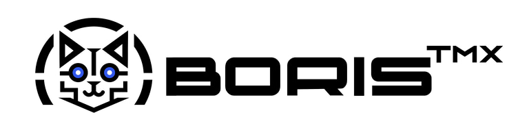 Boris Team logo