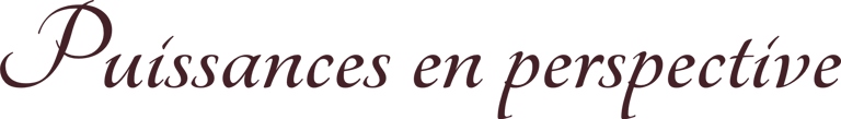 Puissances en perspective logo