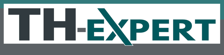 TH-EXPERT logo