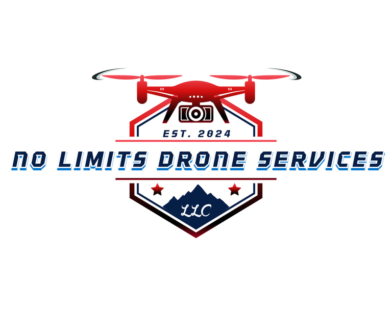 No Limits Aerial Imaging logo