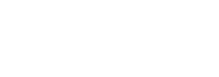 Roseville Driving Institution, INC logo