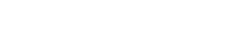 David Kindness logo