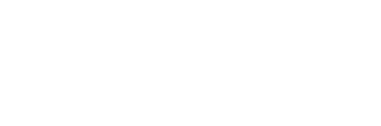 La Serena logo
