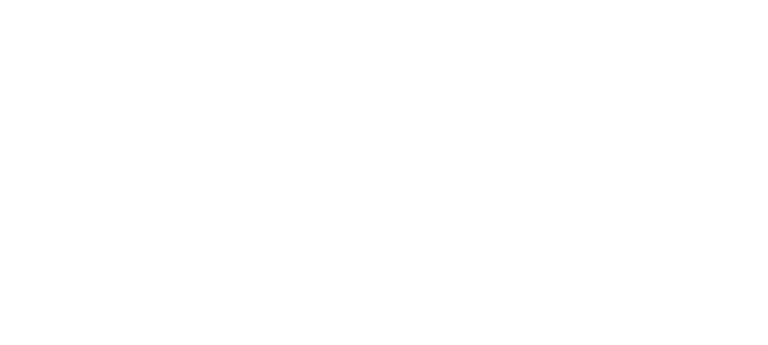 VAMOLO TRAVEL logo