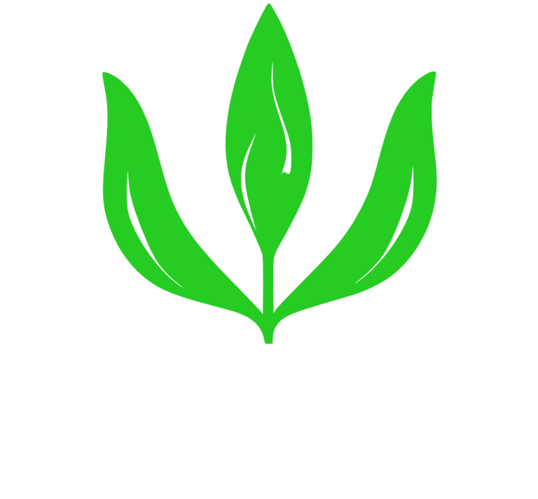Sodo danga logo