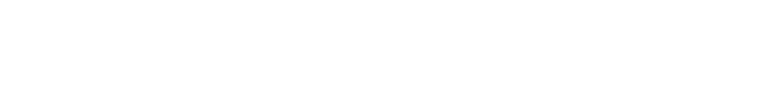 FlexiTerminal logo