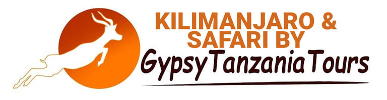 Gypsy Tours and Safaris Limited logo