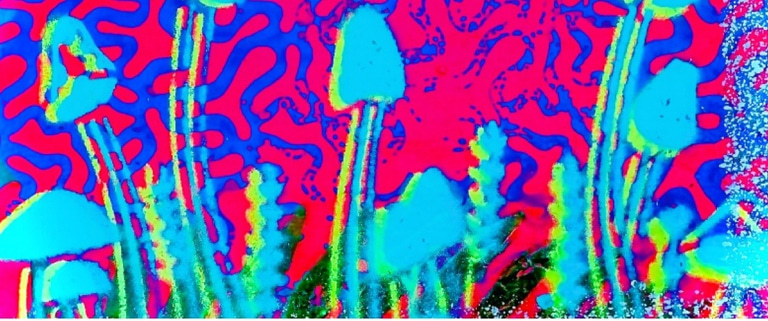 NattyCatty Creations logo