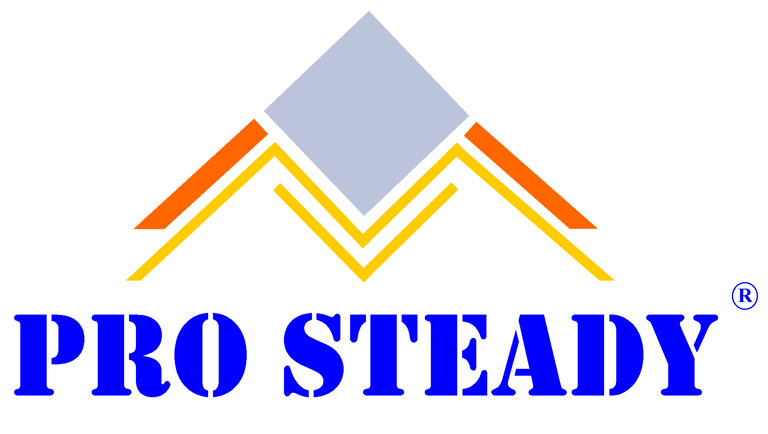 Pro steady logo
