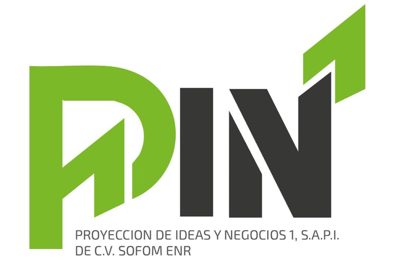 Proyectos Negocios e Ideas logo