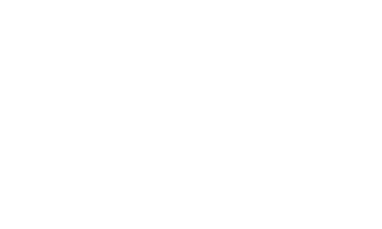 Enso bonsai logo