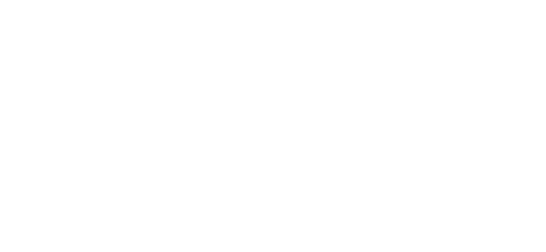 napiart logo