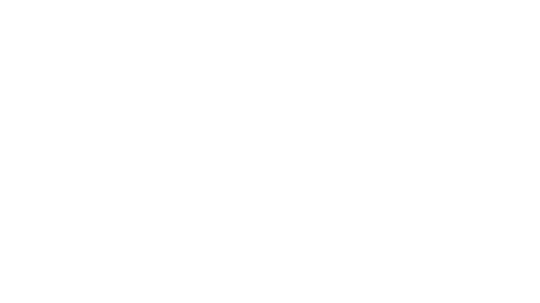 Essencia Elevate logo