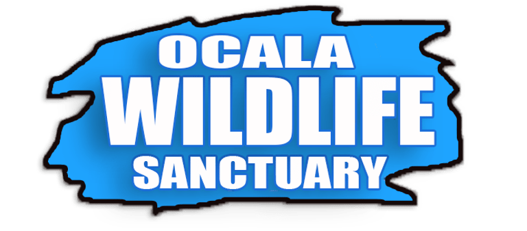Ocala Wildlife Sanctuary logo